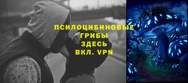 мяу мяу мука Белокуриха