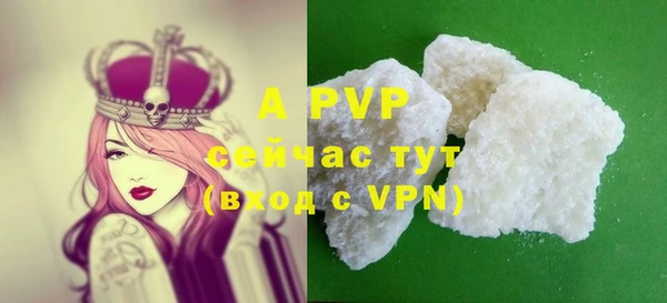 дживик Мегион