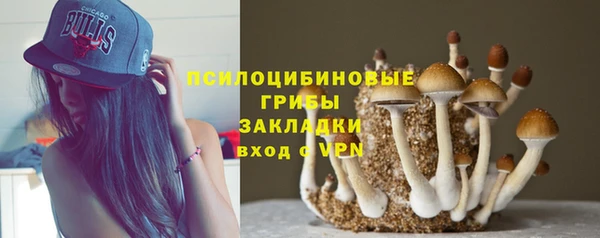 мяу мяу кристалл Медвежьегорск