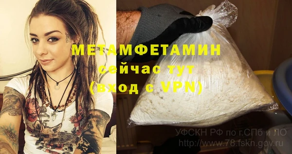 дживик Мегион