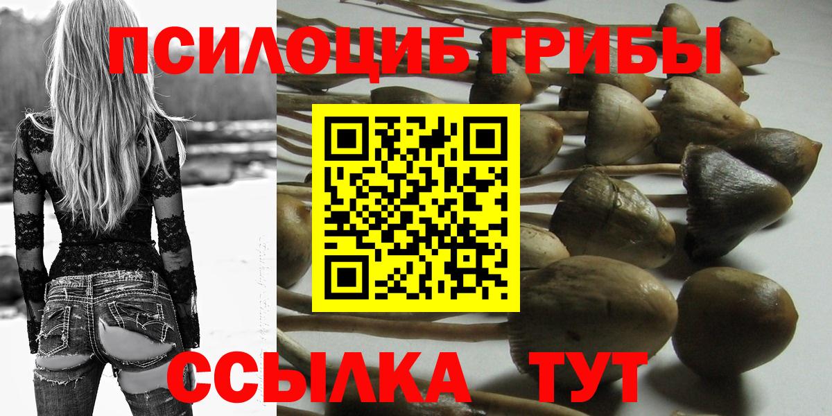 Галлюциногенные грибы GOLDEN TEACHER Тында