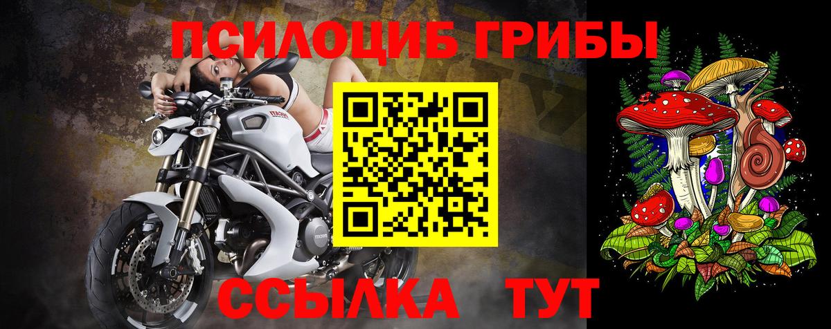 Галлюциногенные грибы Psilocybe  Галлюциногенные грибы Cubensis  магазин продажи   Тында 