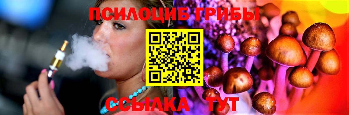 Псилоцибиновые грибы GOLDEN TEACHER Тында